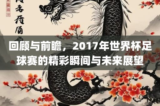 回顾与前瞻，2017年世界杯足球赛的精彩瞬间与未来展望眉山市正发家政服务有限公司
