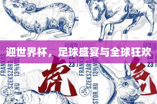 迎世界杯，足球盛宴与全球狂欢眉山市正发家政服务有限公司