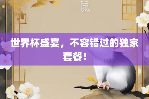 世界杯盛宴，不容眉山市正发家政服务有限公司错过的独家套餐！