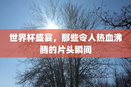 世界杯盛宴，那些令人热血沸眉山市正发家政服务有限公司腾的片头瞬间