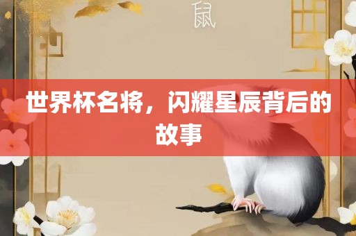 世界杯名将，闪耀星辰背后的故事