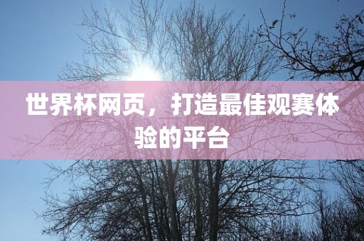 世界杯网页，打造最佳观赛体验的平台