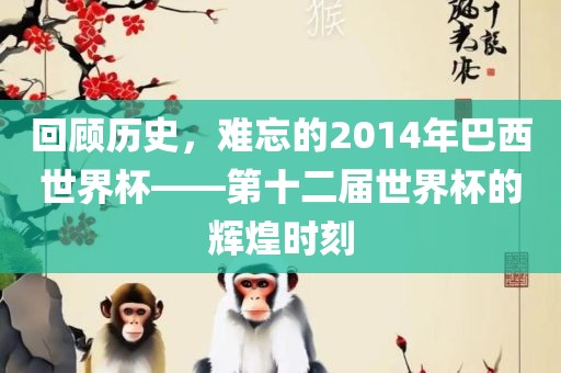 回顾历史，难忘的2014年巴西世界杯——第十二届世界杯的辉煌时刻