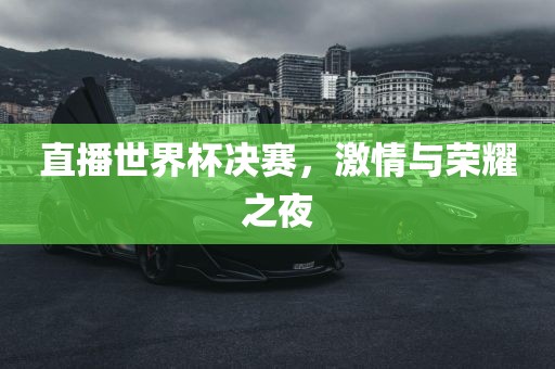直播世界杯决赛，激情与荣耀之夜