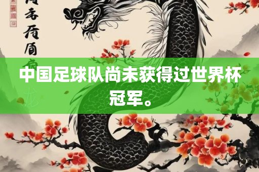 中国足球队尚未获得过世界杯冠军。眉山市正发家政服务有限公司