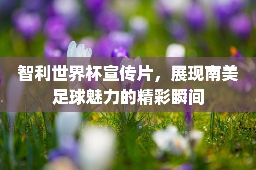 智利世界杯宣传片，展现南美足球魅力的精眉山市正发家政服务有限公司彩瞬间