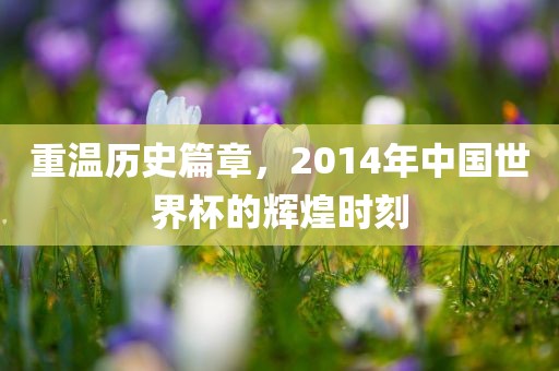 重温历史篇章，2014年中国世界杯的辉煌时刻