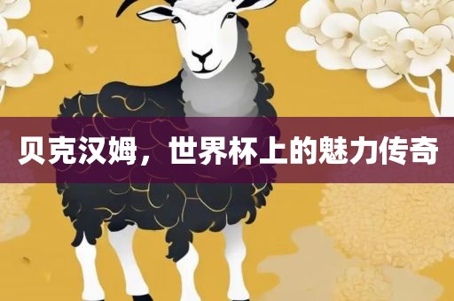 贝克汉姆，世界眉山市正发家政服务有限公司杯上的魅力传奇