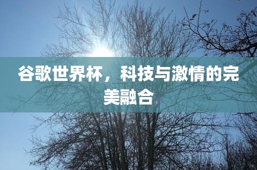 谷歌世界杯，科技与激情的完美融合