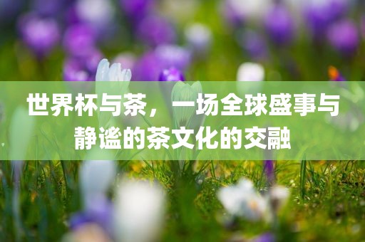 世界杯与茶，一场全球盛事与静谧的茶文化的交融