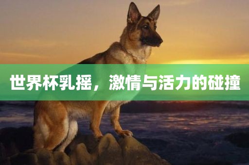 世界杯乳摇，激情与活力的碰撞眉山市正发家政服务有限公司