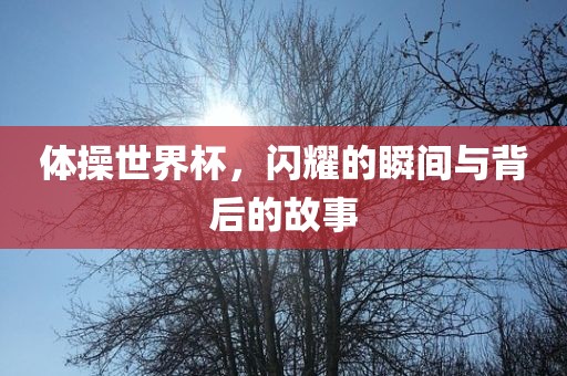 体操世界杯，闪耀的瞬间与背后的故事