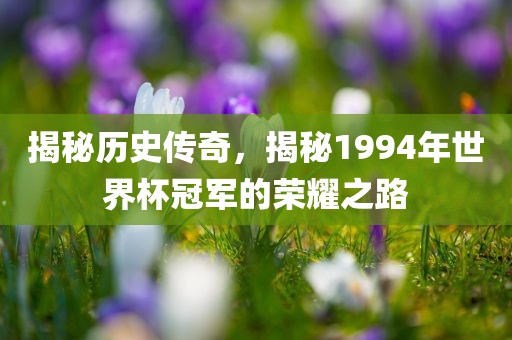 揭秘历史传奇，揭秘1994年世界杯冠军的荣耀之路