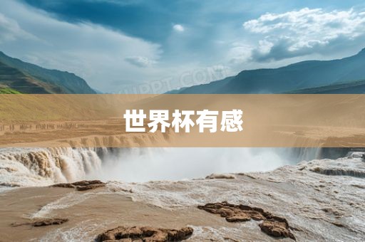 世界杯有感眉山市正发家政服务有限公司