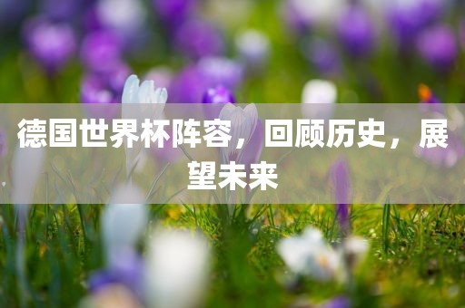 德国世界杯阵容，回顾历史，展望未来