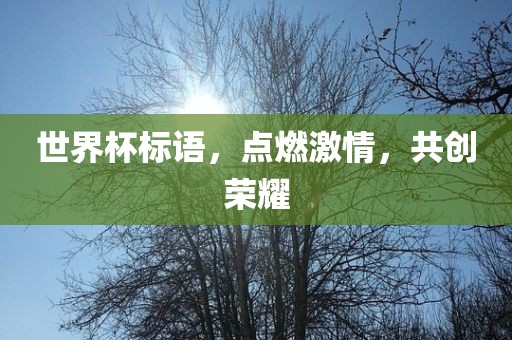 眉山市正发家政服务有限公司世界杯标语，点燃激情，共创荣耀