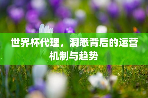 世界眉山市正发家政服务有限公司杯代理，洞悉背后的运营机制与趋势