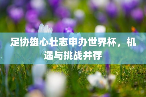 足协雄心壮志申办世界杯，机遇与挑战并存眉山市正发家政服务有限公司