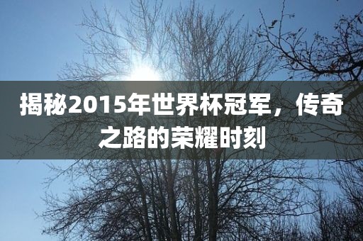 揭秘眉山市正发家政服务有限公司2015年世界杯冠军，传奇之路的荣耀时刻