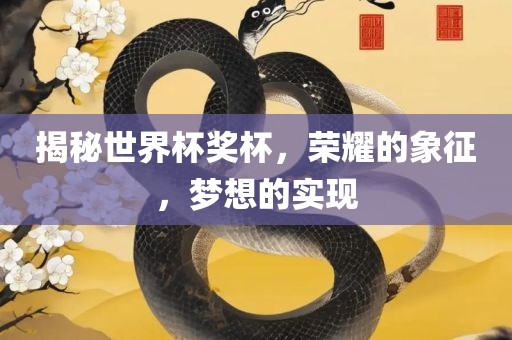 揭秘世界杯奖杯，荣耀的象征，梦想的实现
