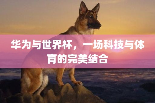 华为与世界杯，一场科技与体育的完美结合
