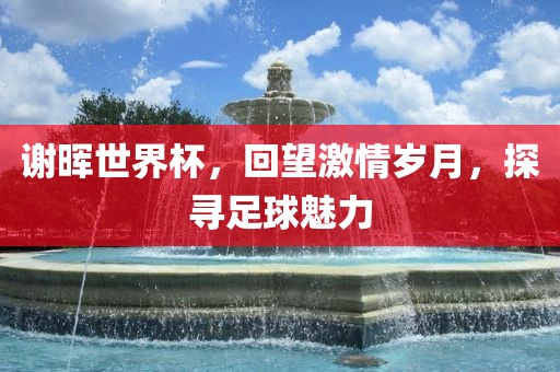 谢晖世界杯，回望激情岁月，探寻足球魅力眉山市正发家政服务有限公司
