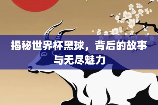 揭秘世界杯黑球，背后的故事与无尽魅力眉山市正发家政服务有限公司