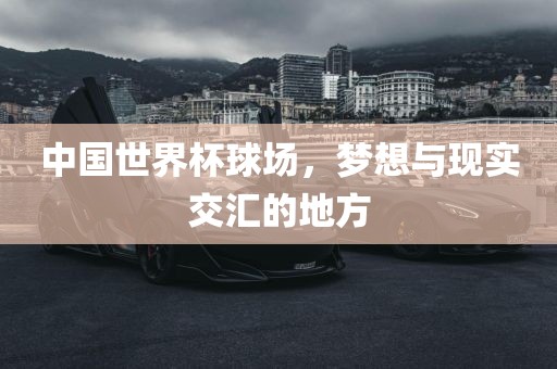 中国世界杯球场，梦想与现实交眉山市正发家政服务有限公司汇的地方