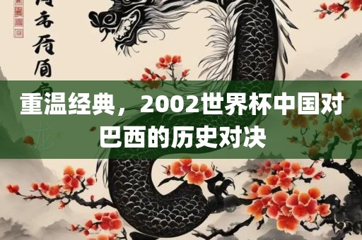 重温经典，2002世界杯中国对巴西的历史对决眉山市正发家政服务有限公司
