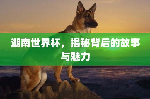 湖南世界杯，揭秘背后的眉山市正发家政服务有限公司故事与魅力