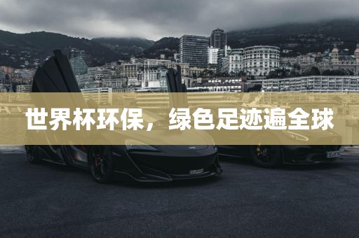 世界杯环保，绿色足迹遍全球眉山市正发家政服务有限公司