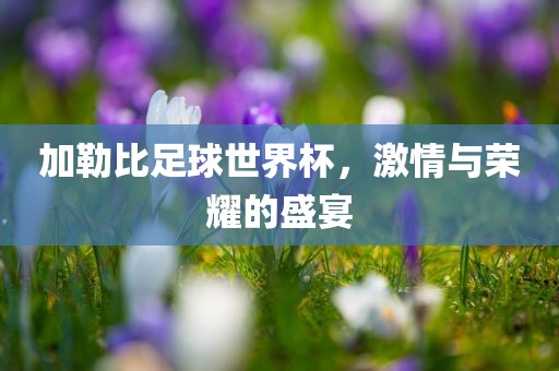 加勒比足球世界杯，激情与荣耀的盛宴眉山市正发家政服务有限公司