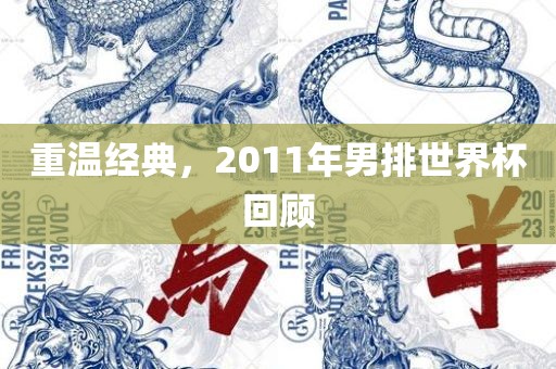 重温经典，2011年男排世界杯回顾眉山市正发家政服务有限公司