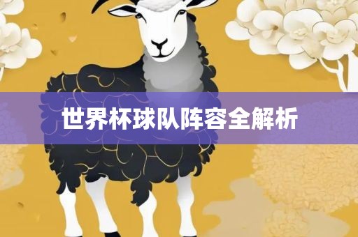 世界杯球队阵容全解析