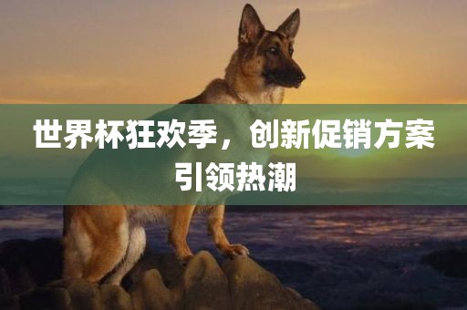 世界杯狂欢季，创新促销方案引领热潮眉山市正发家政服务有限公司