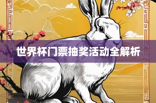 世界杯门票抽奖活动全解析