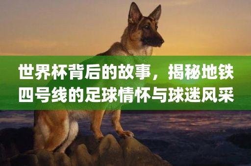 世界杯背后的故事，揭秘地铁四号线的足球情怀与球迷风采眉山市正发家政服务有限公司