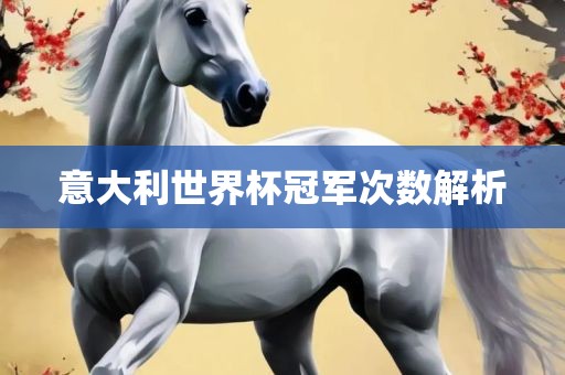 意大利世界杯冠军次数解析