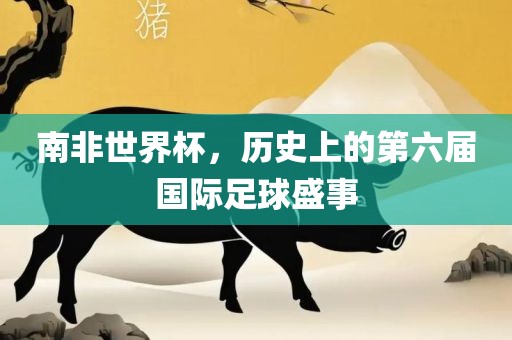 南非世界杯，历史上的第六届国际足球盛事
