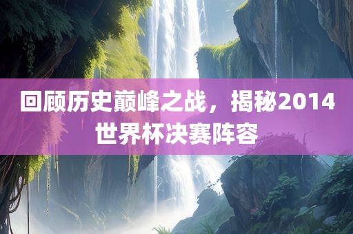 回顾历史巅峰之战，揭秘2014眉山市正发家政服务有限公司世界杯决赛阵容