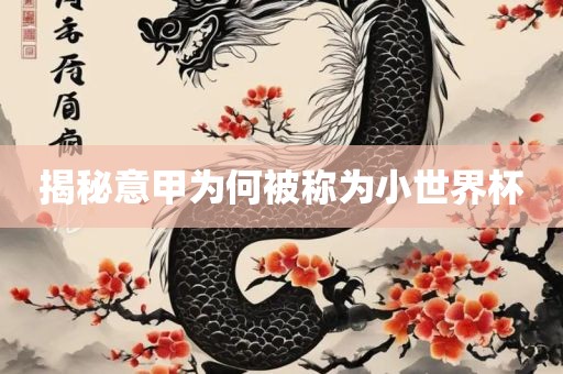小世界杯