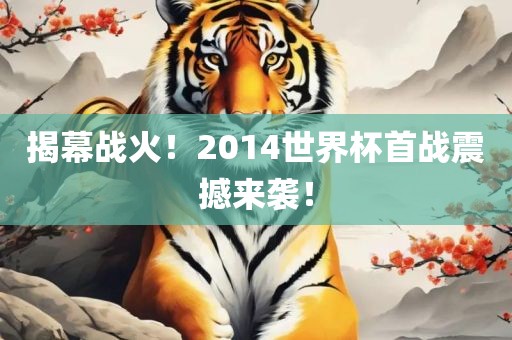 揭幕战火！2014世界杯首战震撼来袭！眉山市正发家政服务有限公司