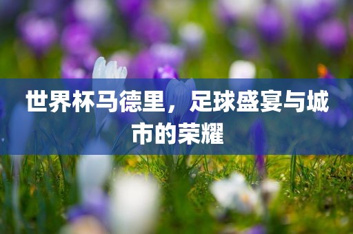 世界杯马德里，足球盛宴与城市的荣耀