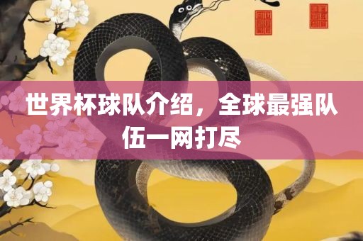 世界杯球队介绍，全球最强队伍一网打尽眉山市正发家政服务有限公司