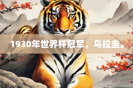 1930年世界杯冠军，乌拉圭。