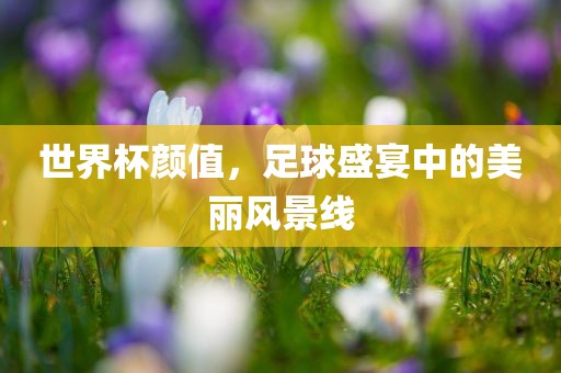 世界杯颜值，足球盛宴中的美丽风景线眉山市正发家政服务有限公司
