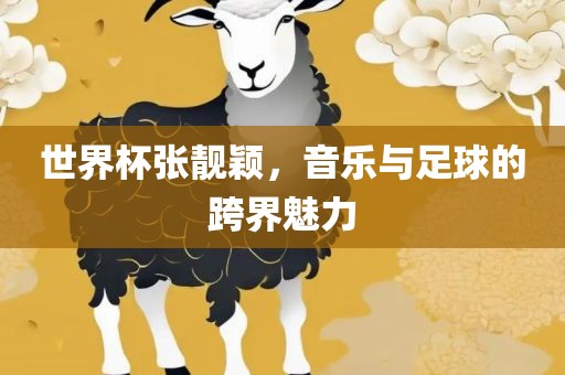 世界杯张靓颖，音乐与足球的跨界魅力眉山市正发家政服务有限公司