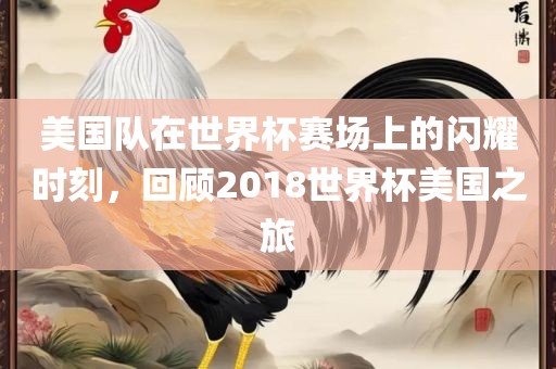 美国队在世界杯赛场上的闪耀时刻，回顾2018世界杯美国之旅眉山市正发家政服务有限公司