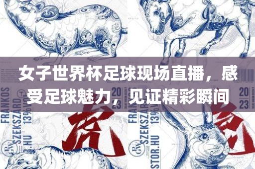 女子世界杯足球现场直播，感受足球魅力，见证精彩瞬间眉山市正发家政服务有限公司