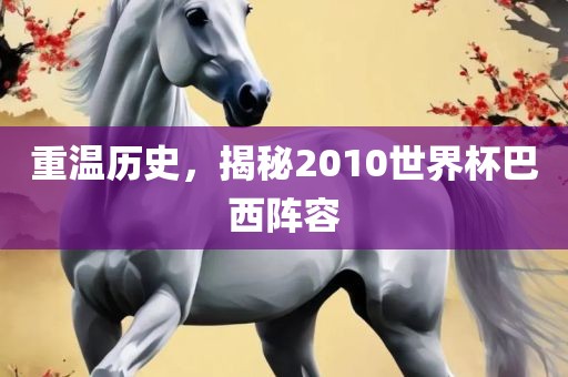 重温历史，揭秘2010世界杯巴西阵容